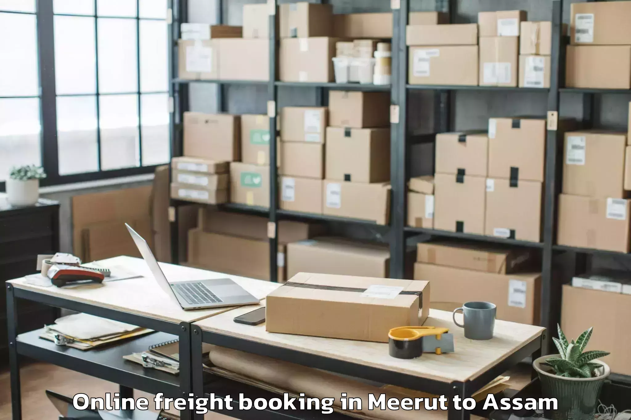 Professional Meerut to Dispur Online Freight Booking